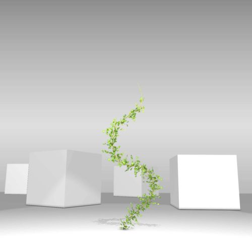 Ivy Vine - Version 9 Low-poly 3D model