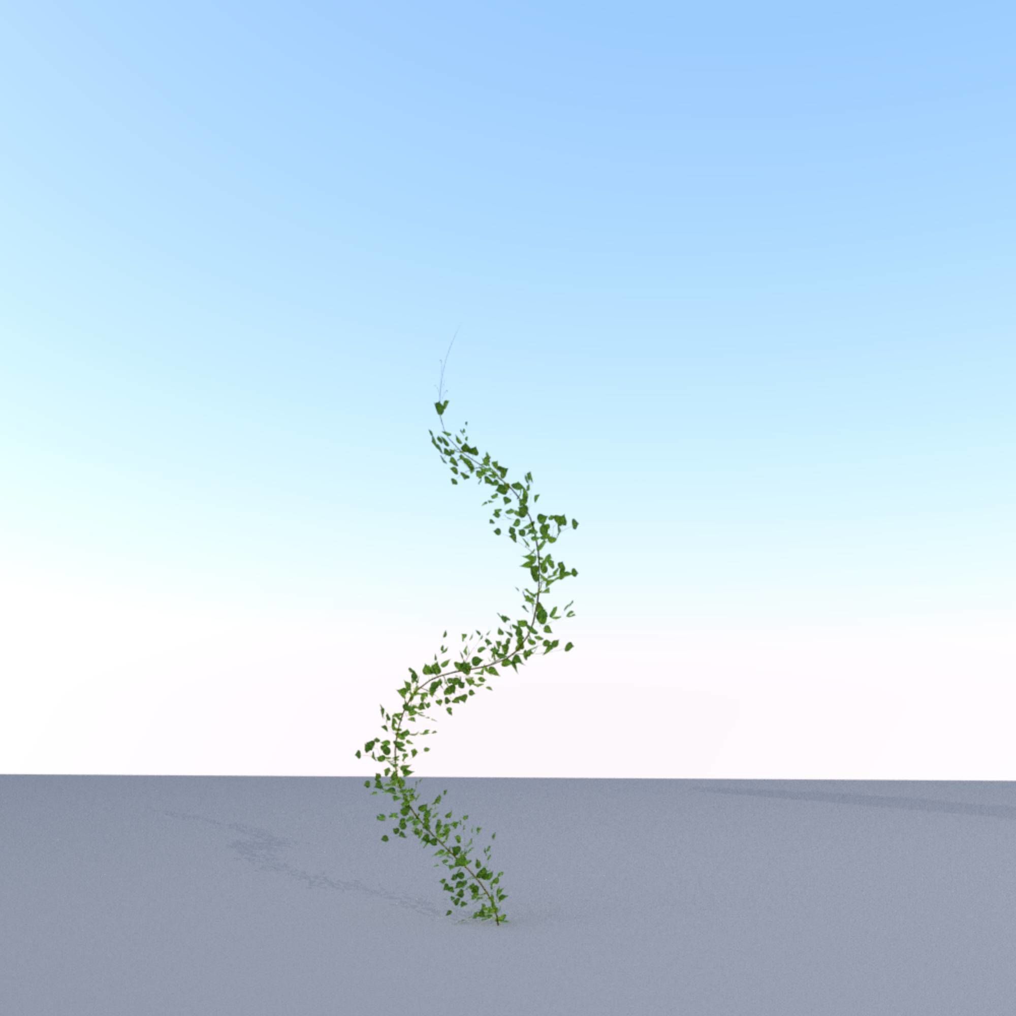 Ivy Vine - Version 9 Low-poly 3D model_14