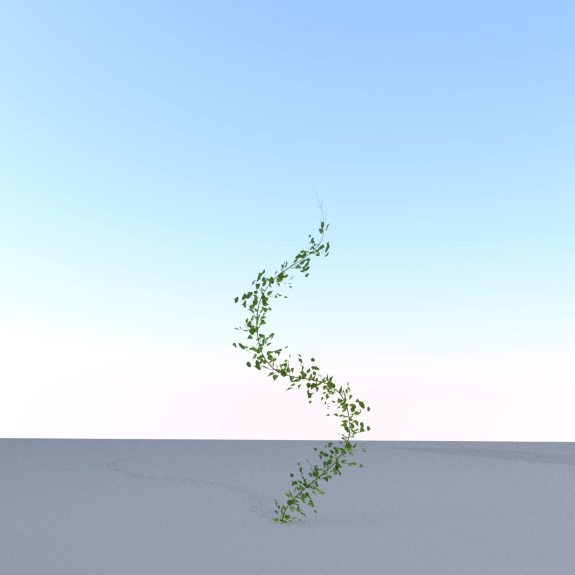 Ivy Vine - Version 9 Low-poly 3D model_2
