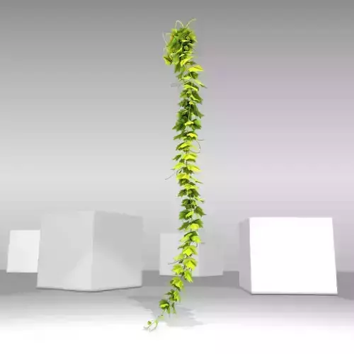Grape Vine Version 10 Low-poly 3D model