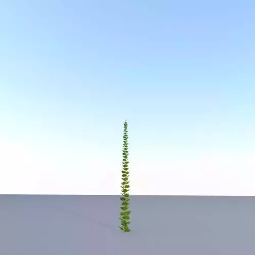 Grapevine Version 5 Low-poly 3D model