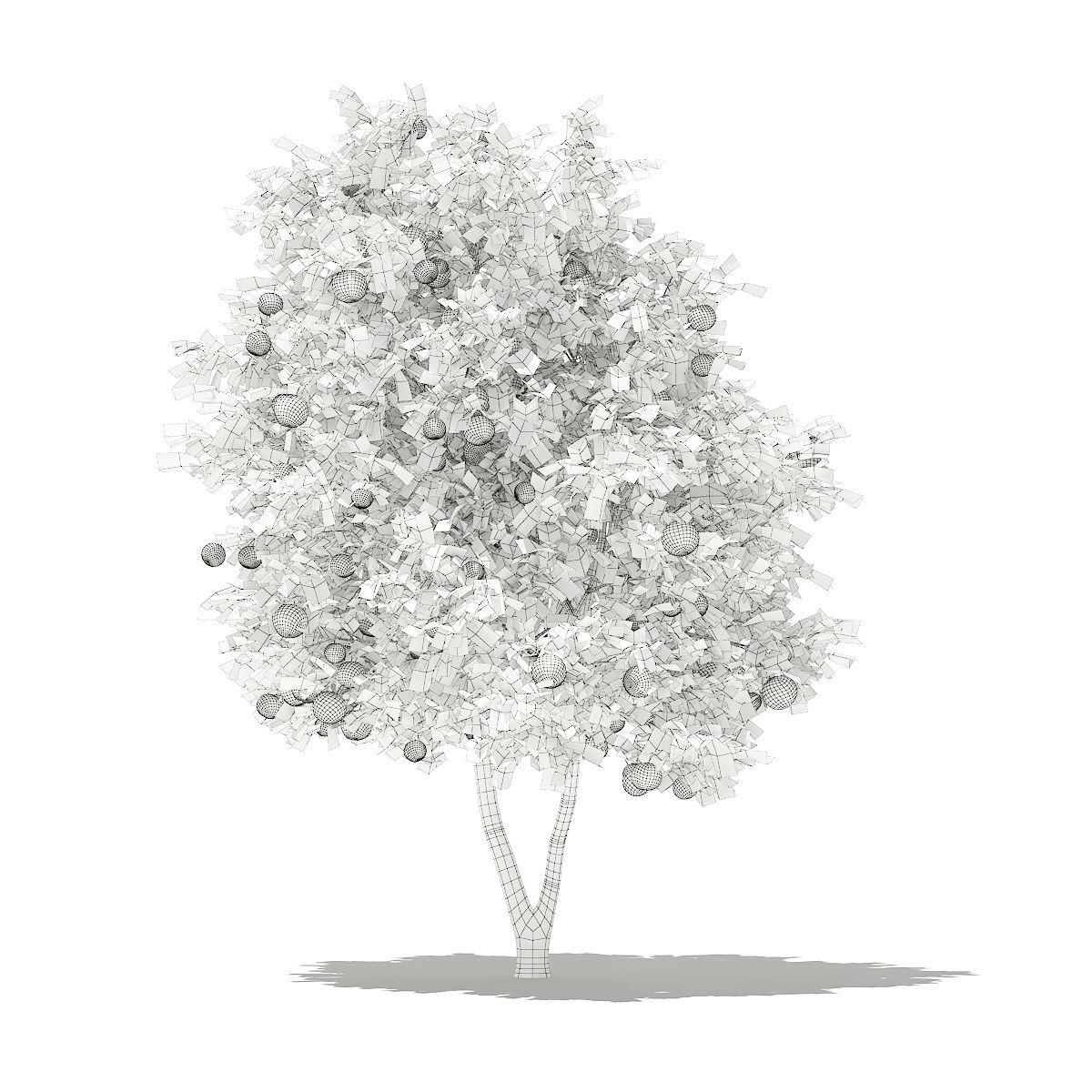 Grapefruit Tree with Fruits 3D model_5