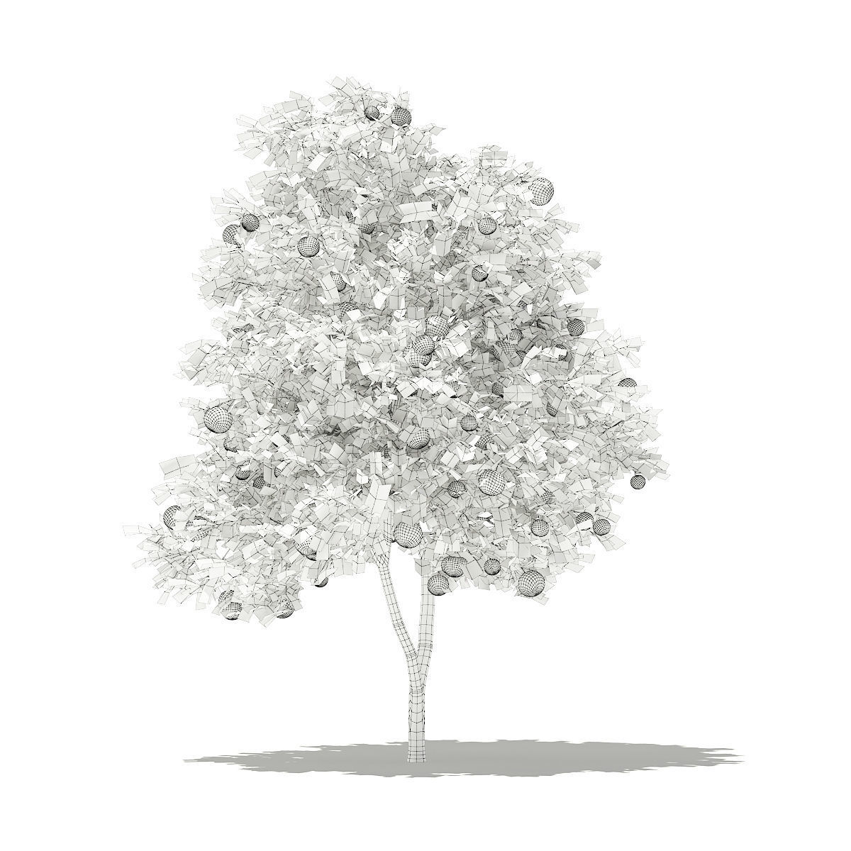 Grapefruit Tree with Fruits 3D model_3