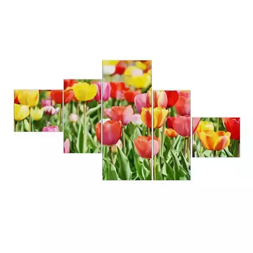 Flower Wall Pictures 3D model