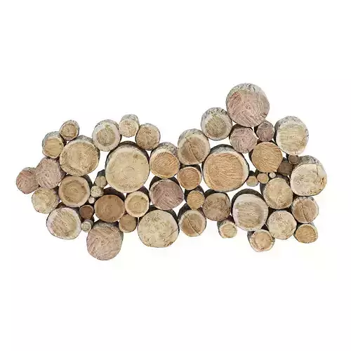 Wood Logs Decoration 3D model