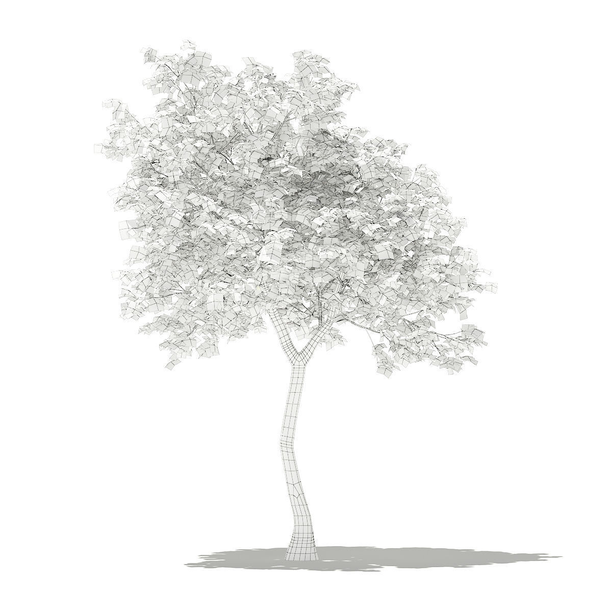 Olive Tree 3D model_5