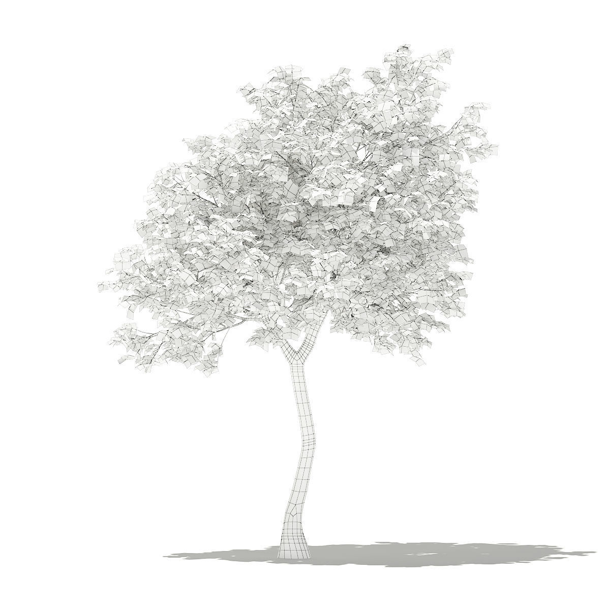 Olive Tree 3D model_1