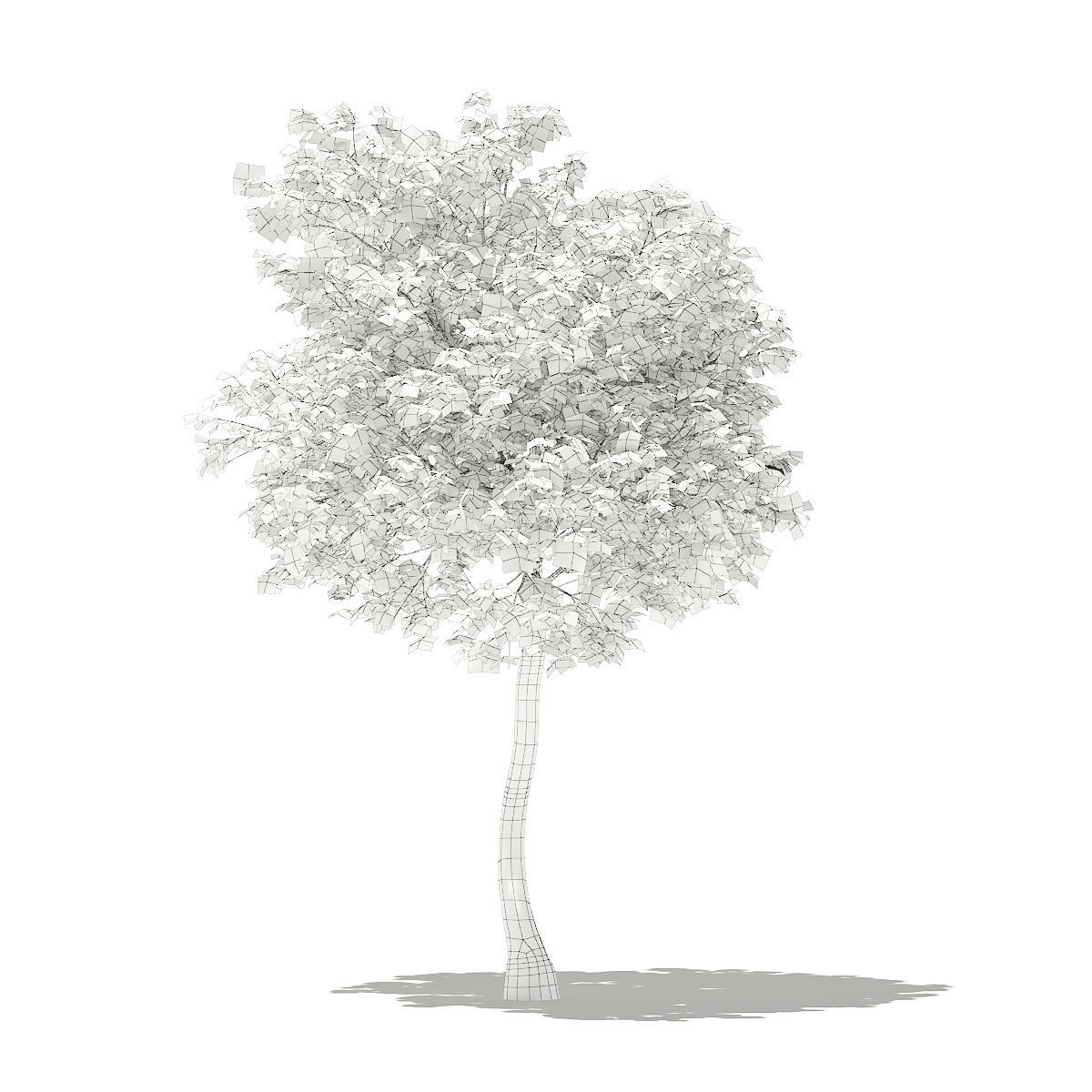 Olive Tree 3D model_3