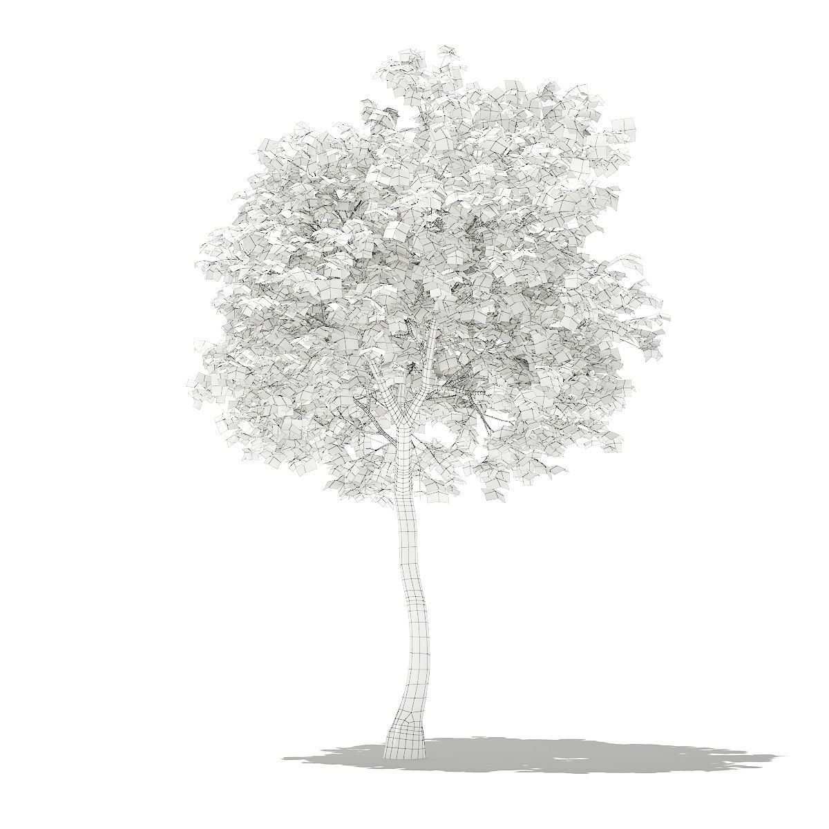 Olive Tree 3D model_7