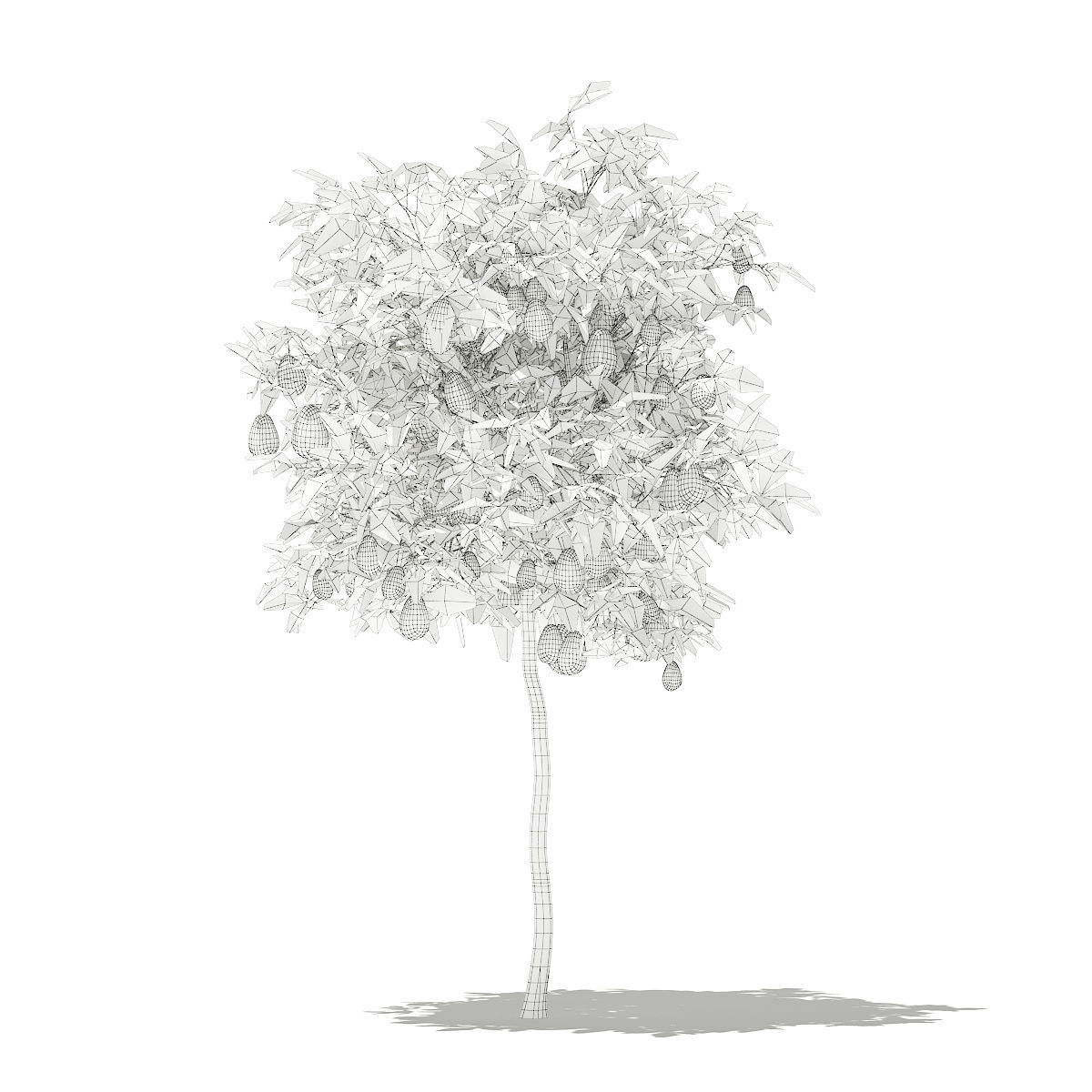 Avocado Tree with Fruits 3D model_5