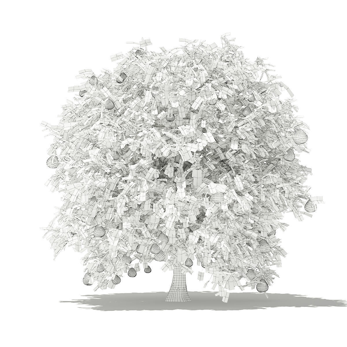 Pomelo Tree with Fruits 3D model_7