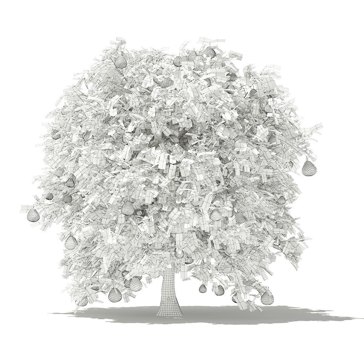 Pomelo Tree with Fruits 3D model_3