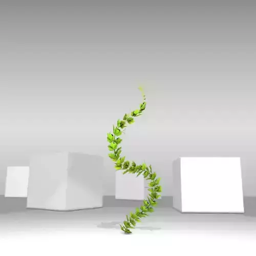 Grapevine Version 9 Low-poly 3D model