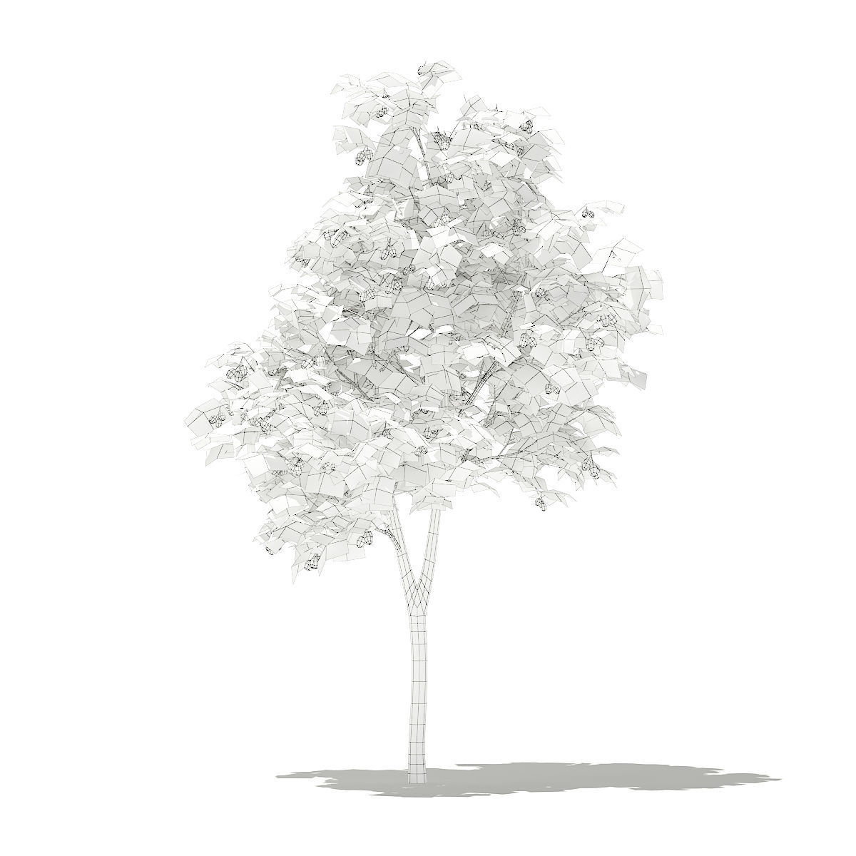 Olive Tree with Fruits 3D model_1