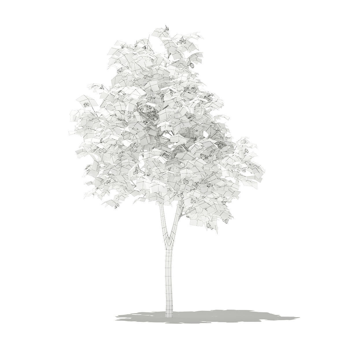 Olive Tree with Fruits 3D model_5