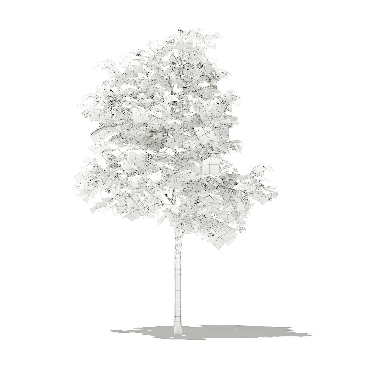 Olive Tree with Fruits 3D model_3