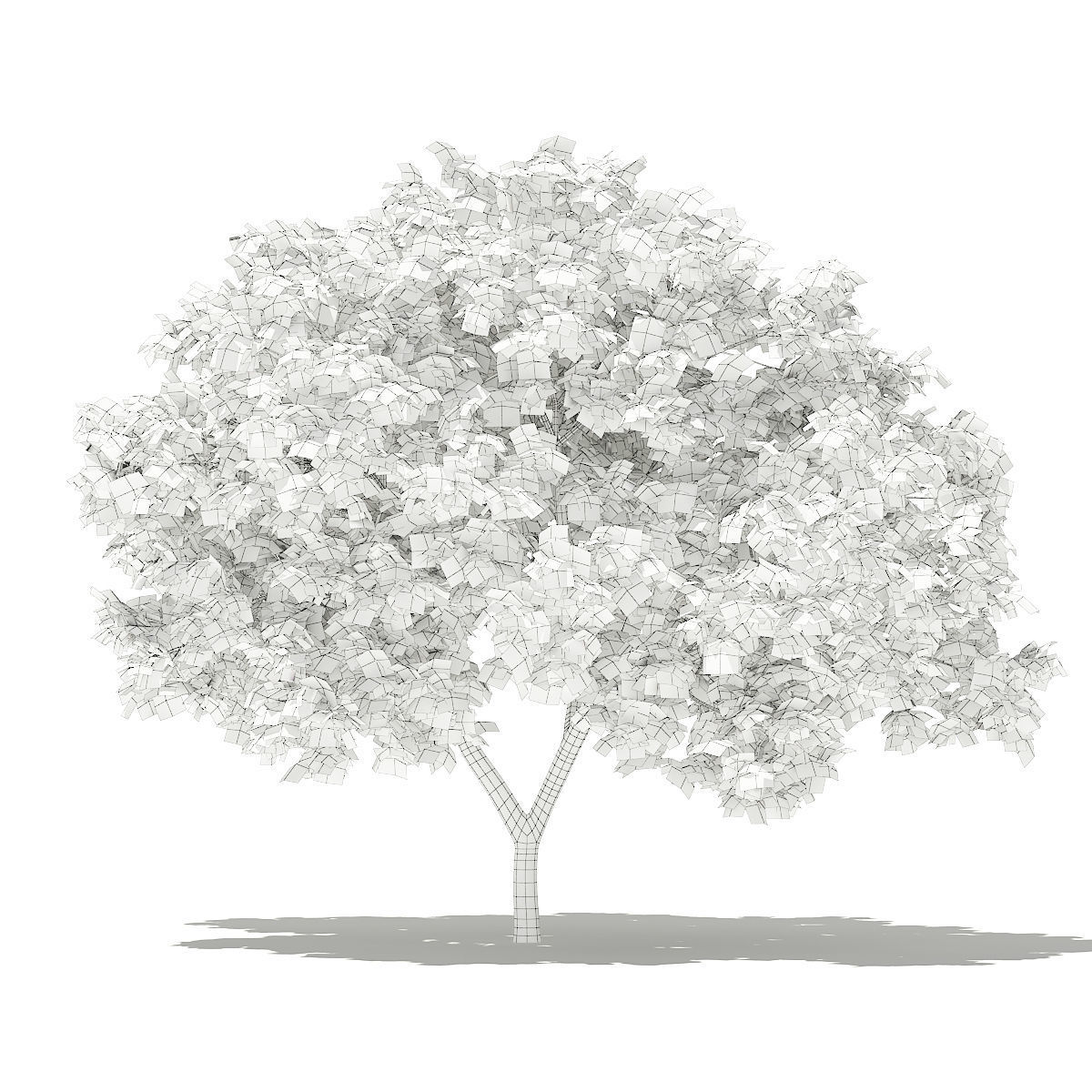 Common Fig Tree 3D model_5