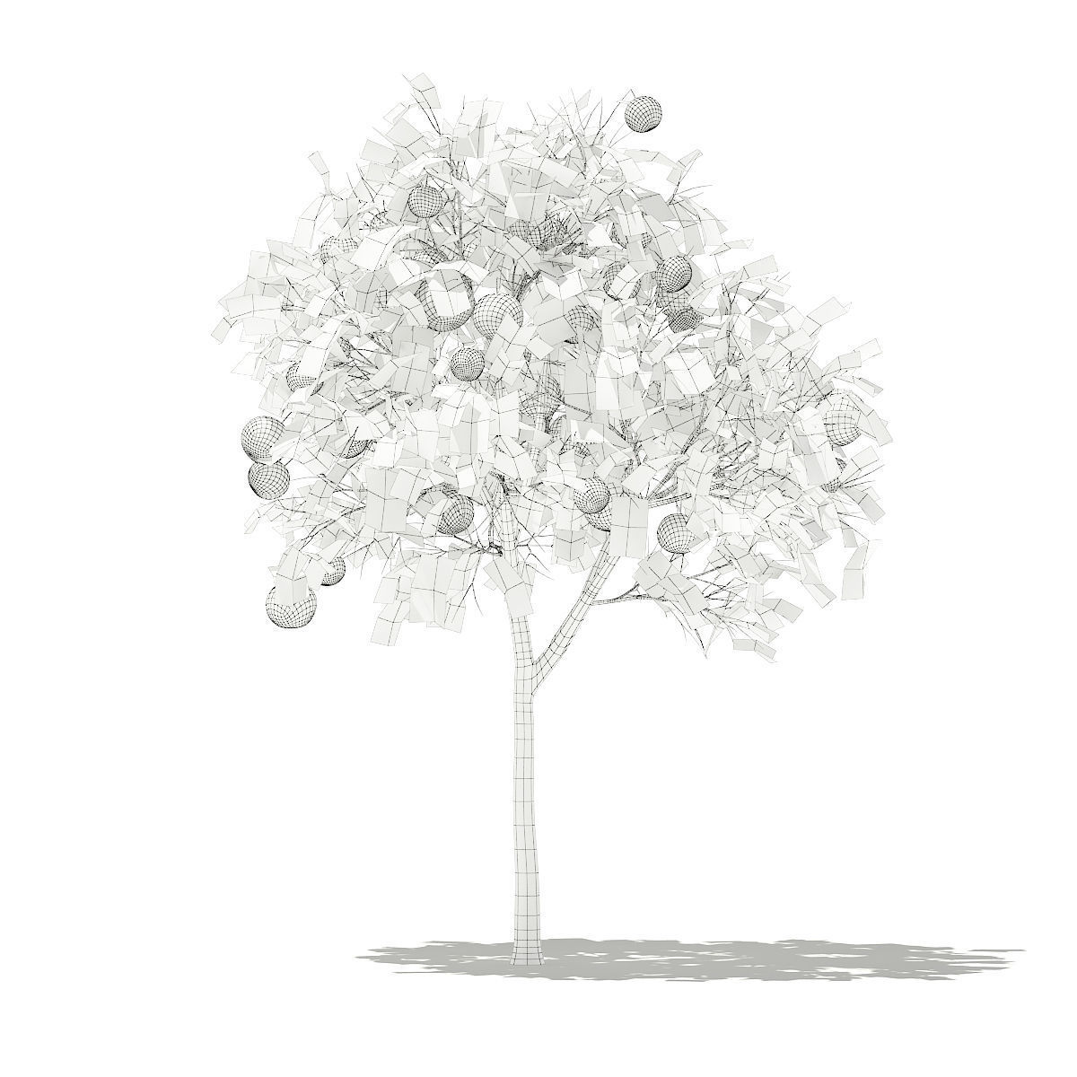 Grapefruit Tree with Fruits 3D model_3