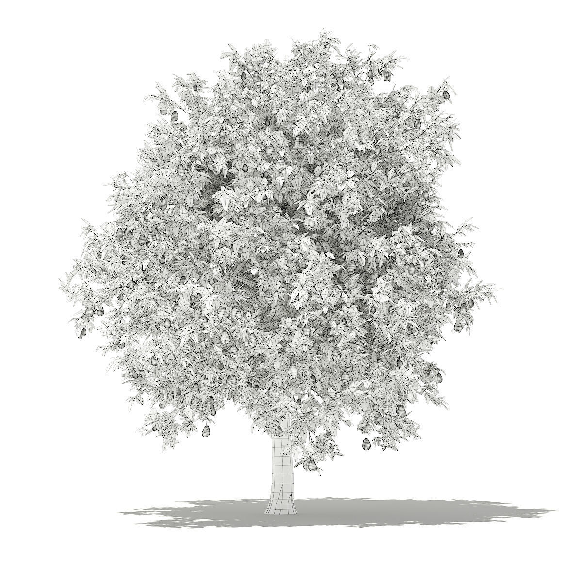 Avocado Tree with Fruits 3D model_7