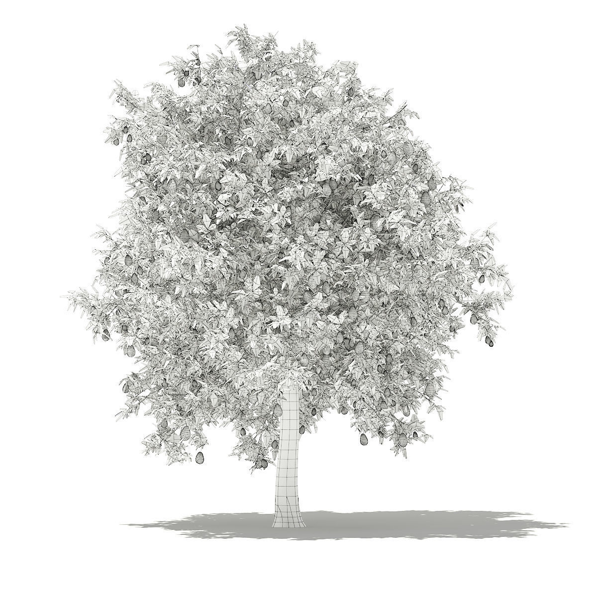 Avocado Tree with Fruits 3D model_3