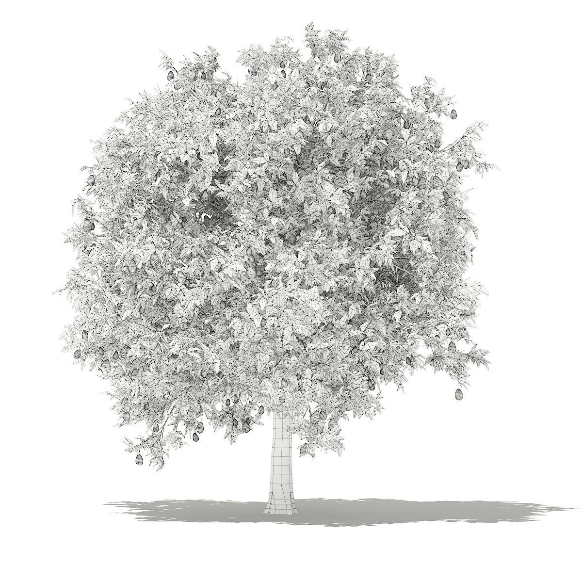 Avocado Tree with Fruits 3D model_5