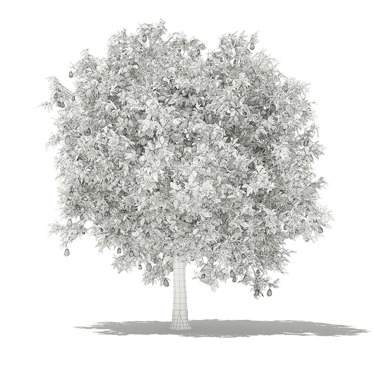 Avocado Tree with Fruits 3D model_1