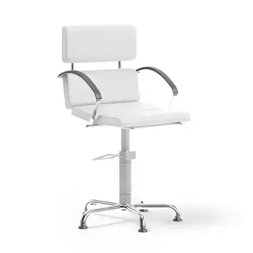 Salon Chair
