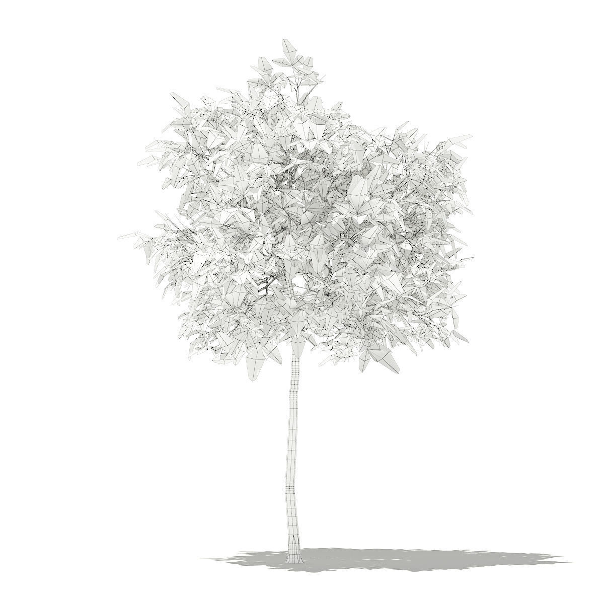 Avocado Tree 3D model_3