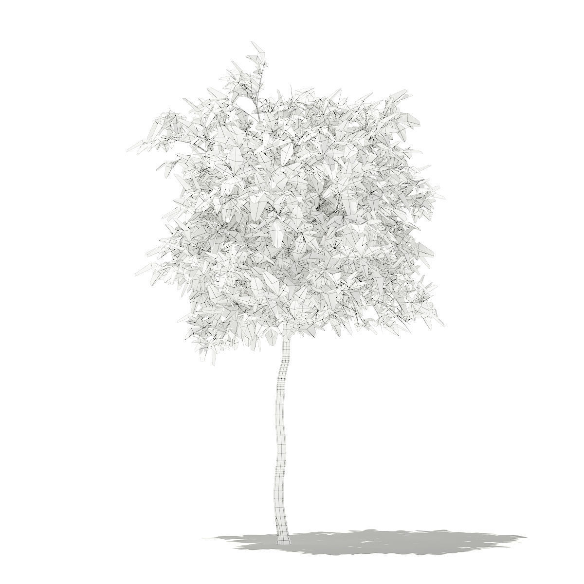 Avocado Tree 3D model_1