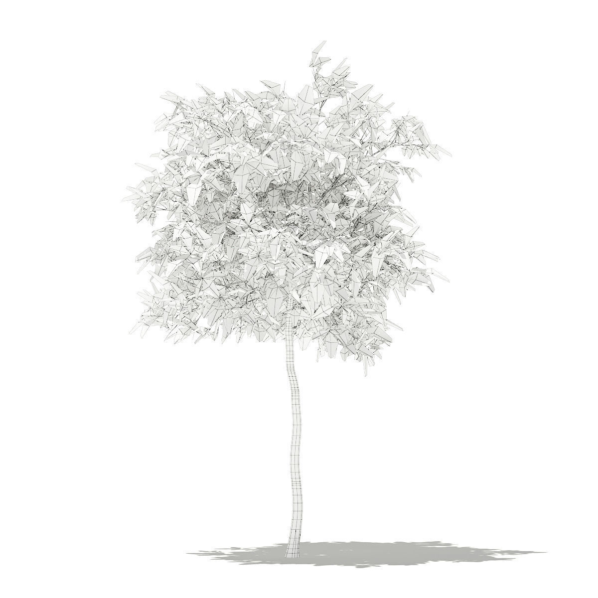 Avocado Tree 3D model_5