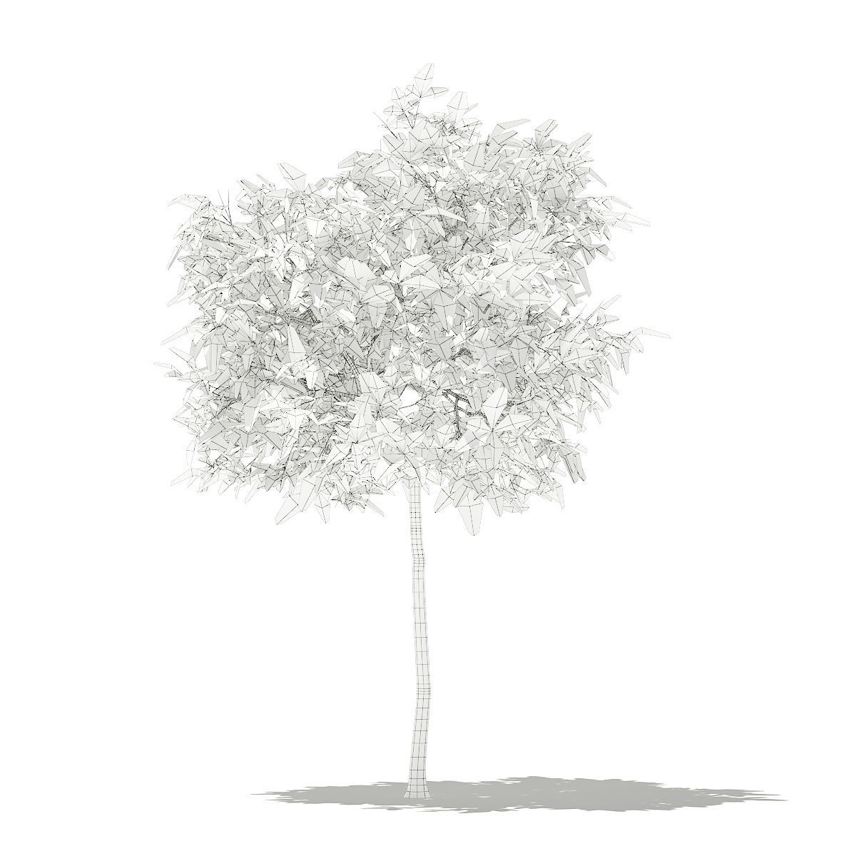 Avocado Tree 3D model_7