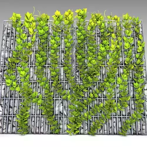 Vines and Gabion Version 4 Low-poly 3D model