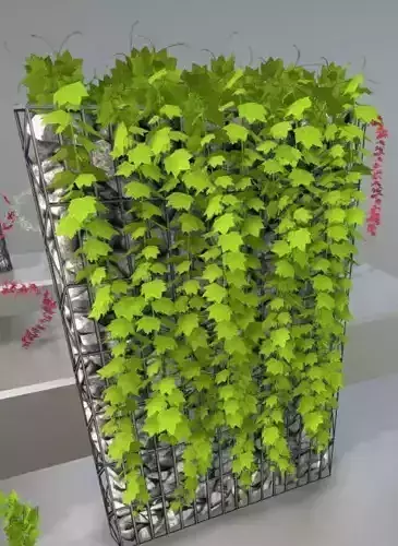 Vines and Gabion Version 5 Low-poly 3D model
