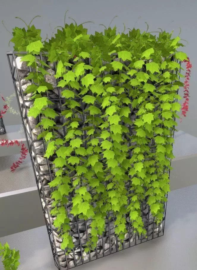Vines and Gabion Version 5 Low-poly 3D model_0