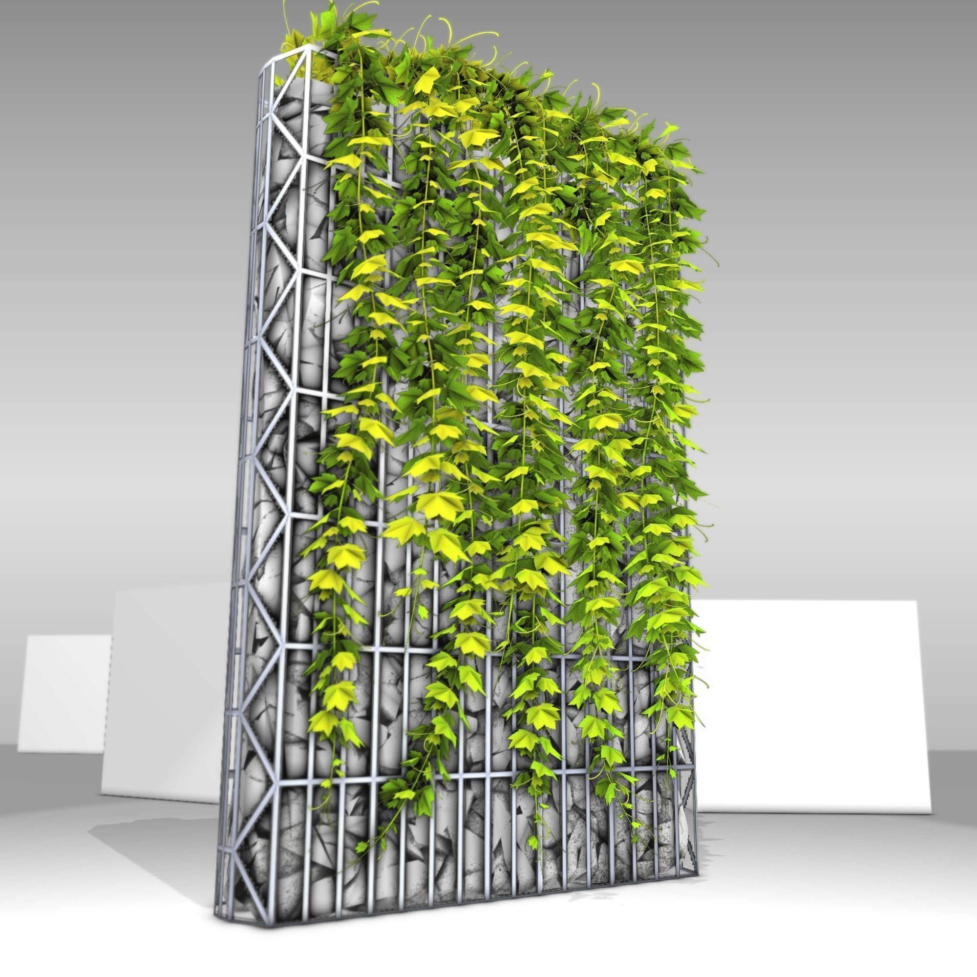 Vines and Gabion Version 5 Low-poly 3D model_12