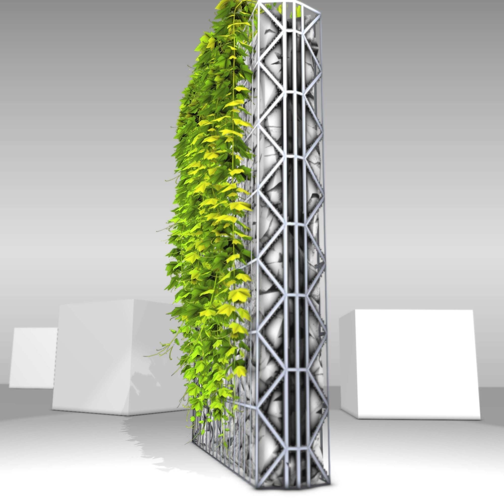 Vines and Gabion Version 5 Low-poly 3D model_31
