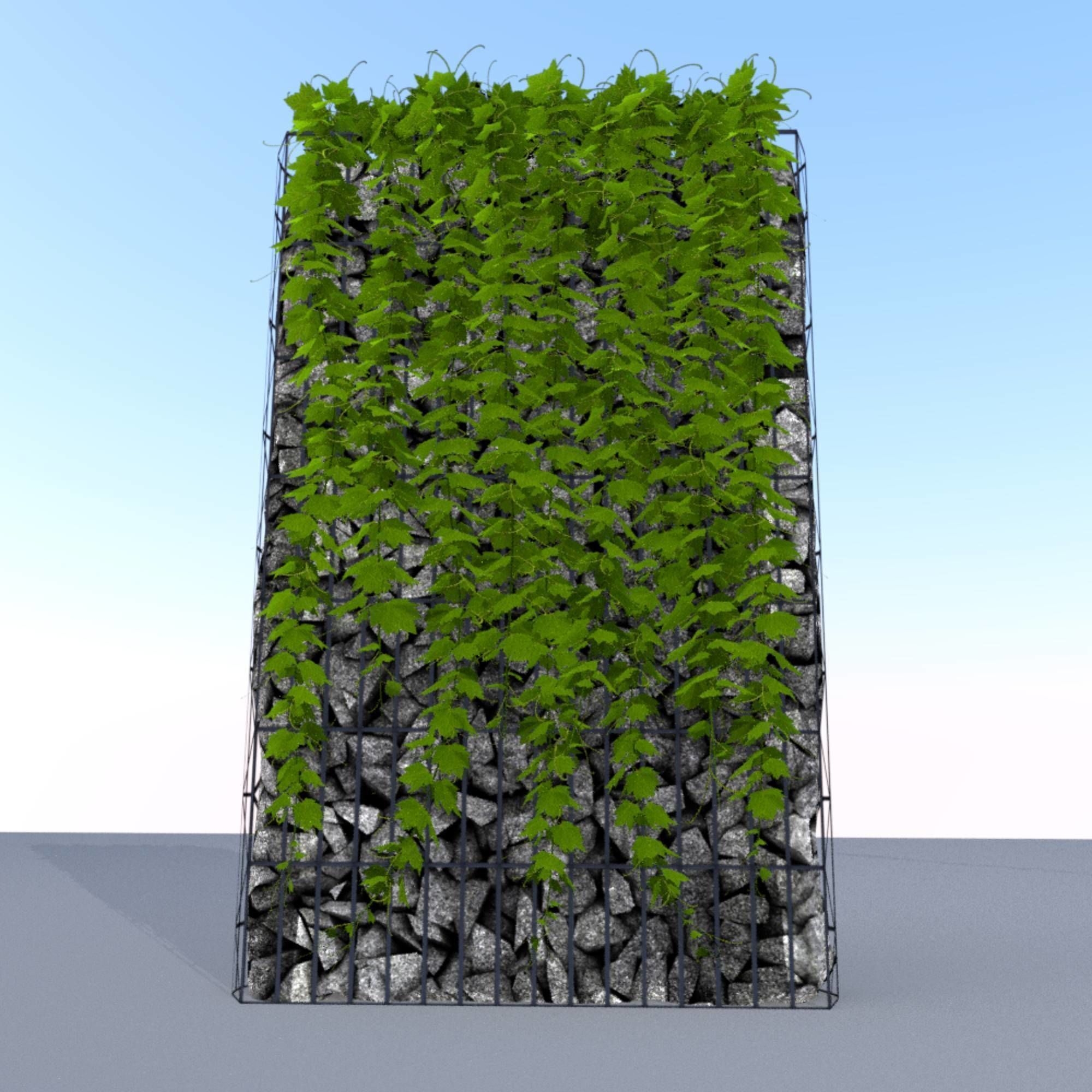 Vines and Gabion Version 5 Low-poly 3D model_9