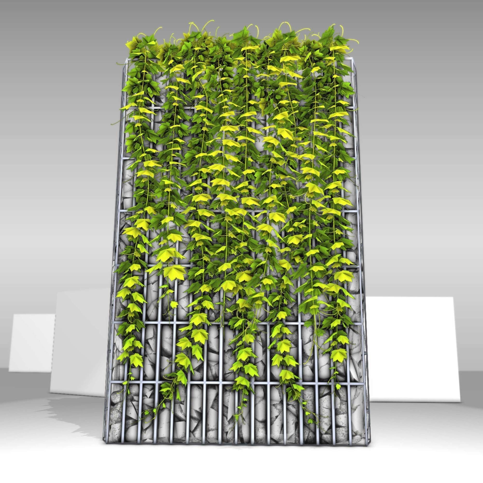 Vines and Gabion Version 5 Low-poly 3D model_3