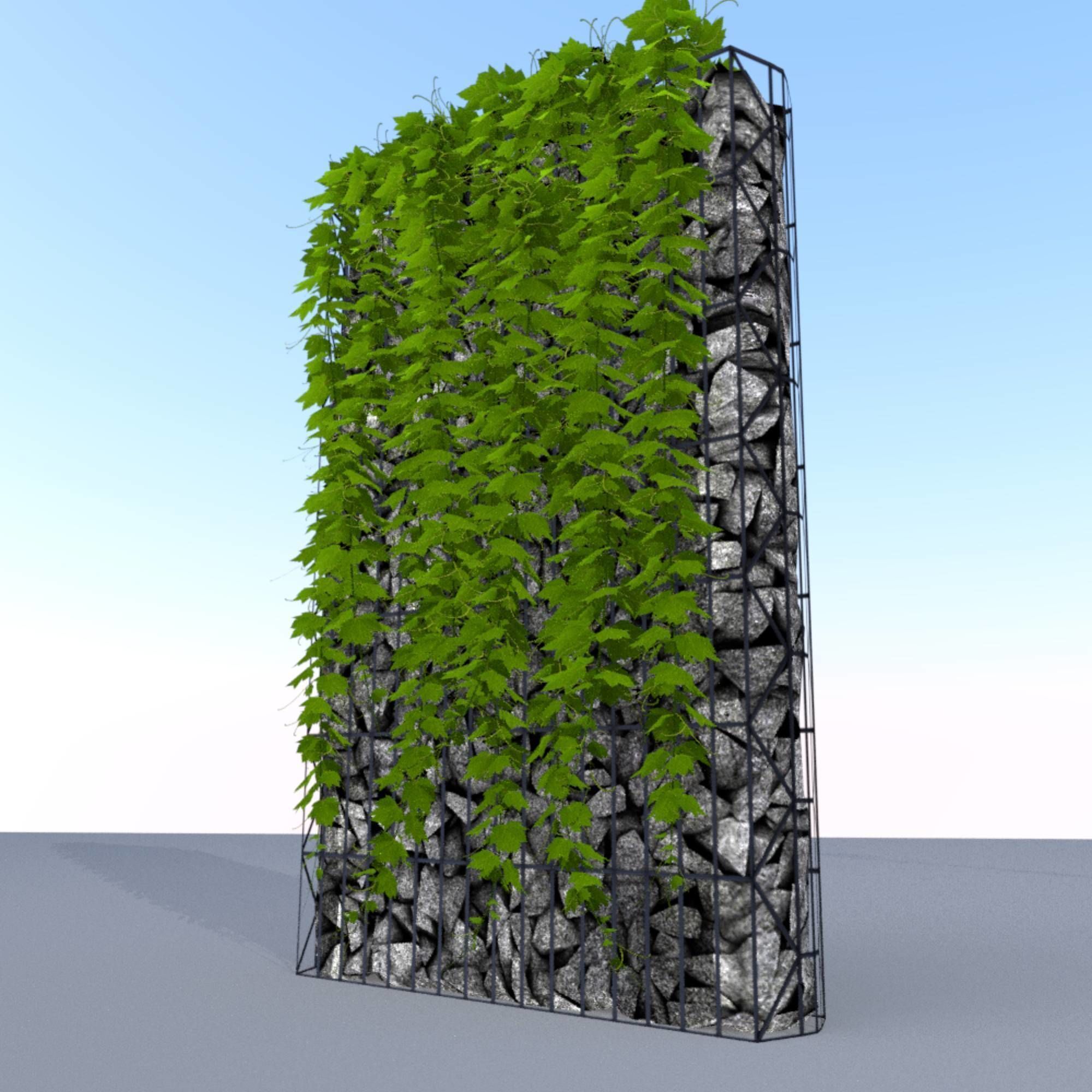 Vines and Gabion Version 5 Low-poly 3D model_32