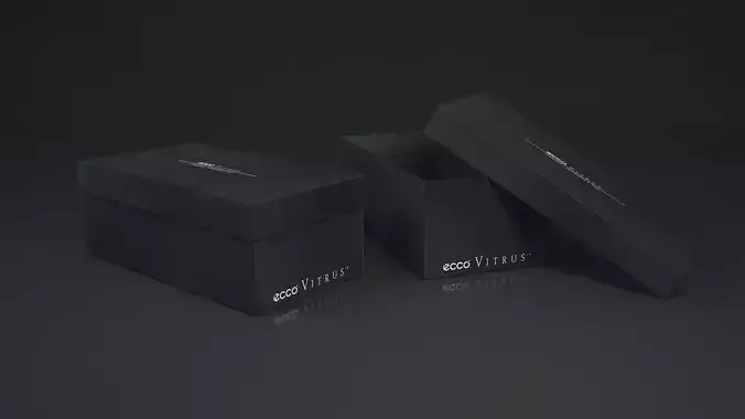 Shoe box ECCO  Free 3D model