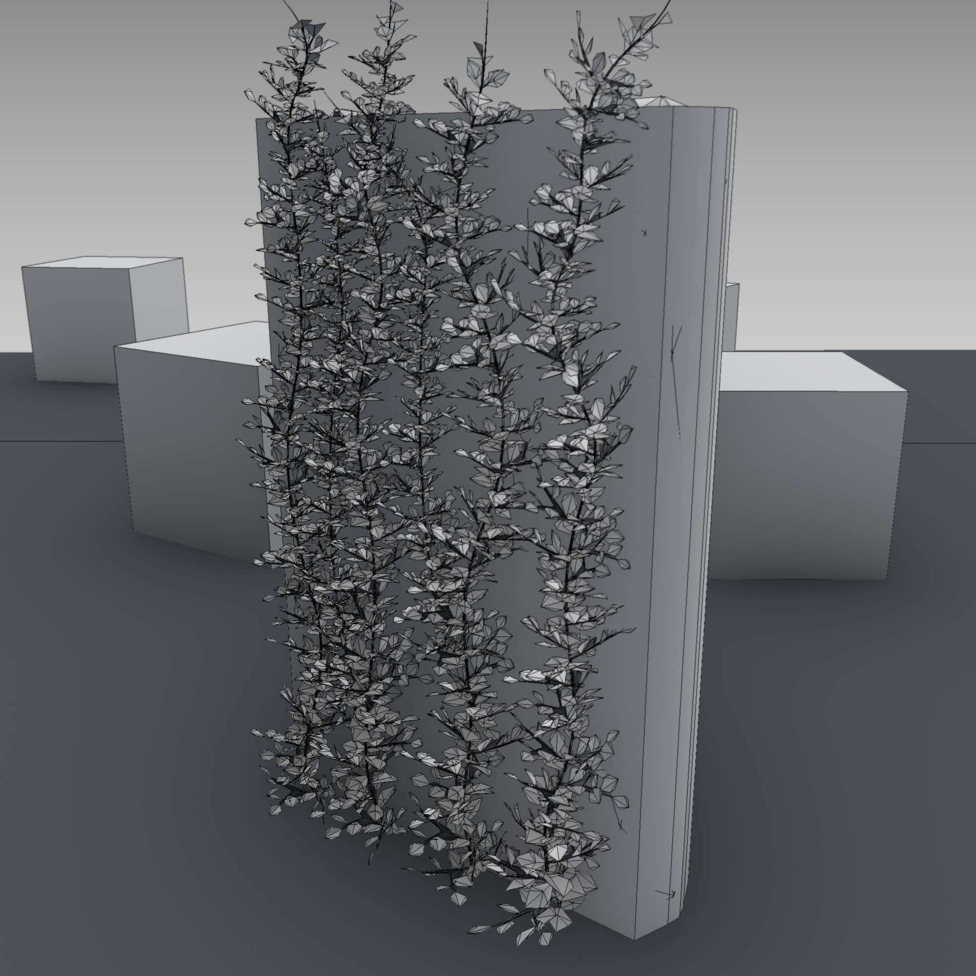 Ivy Vine on Gabion Wall - Version 1 Low-poly 3D model_28