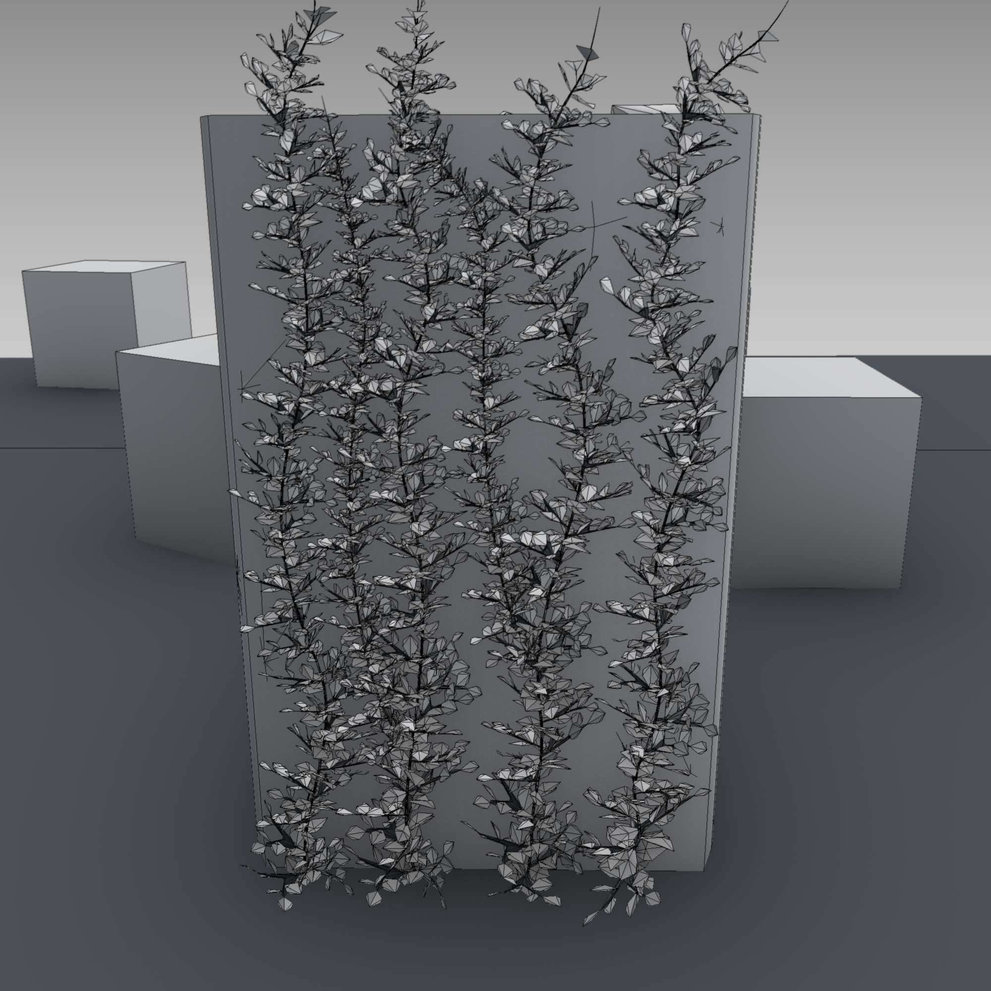 Ivy Vine on Gabion Wall - Version 1 Low-poly 3D model_5