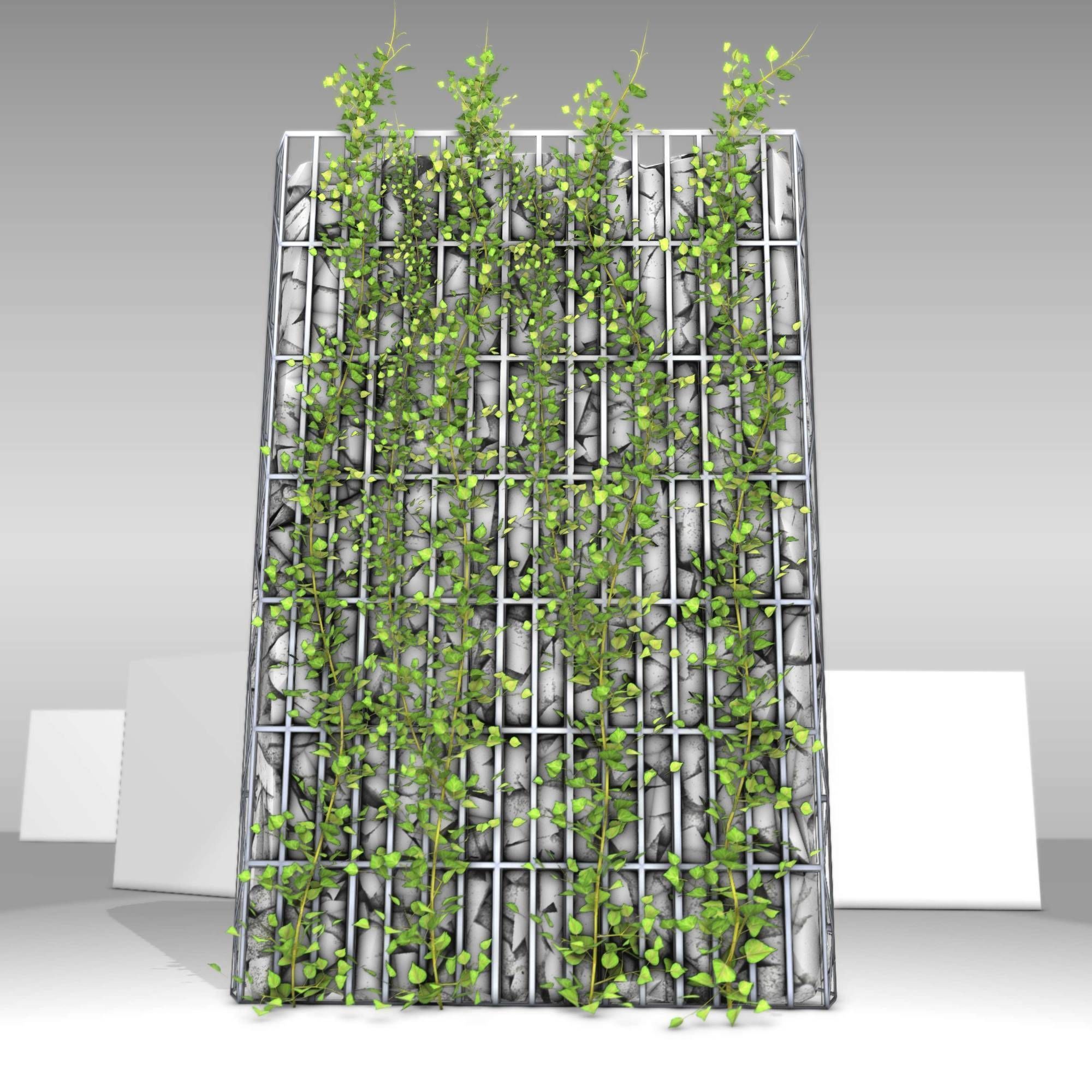 Ivy Vine on Gabion Wall - Version 1 Low-poly 3D model_8