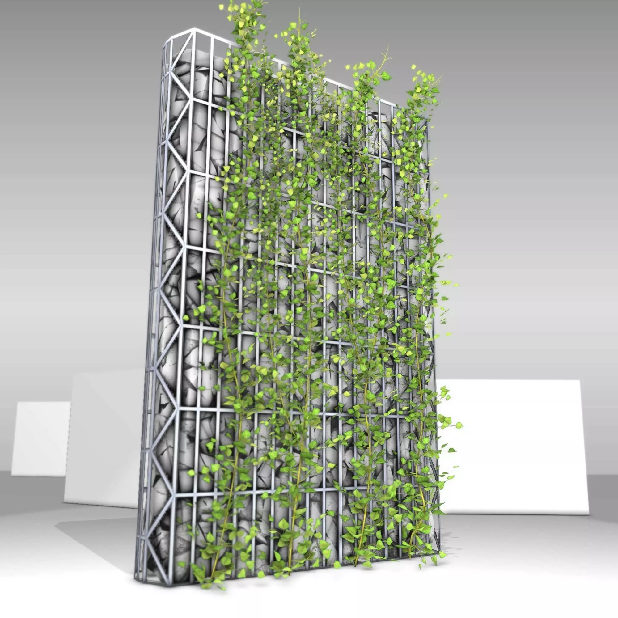 Ivy Vine on Gabion Wall - Version 1 Low-poly 3D model_0
