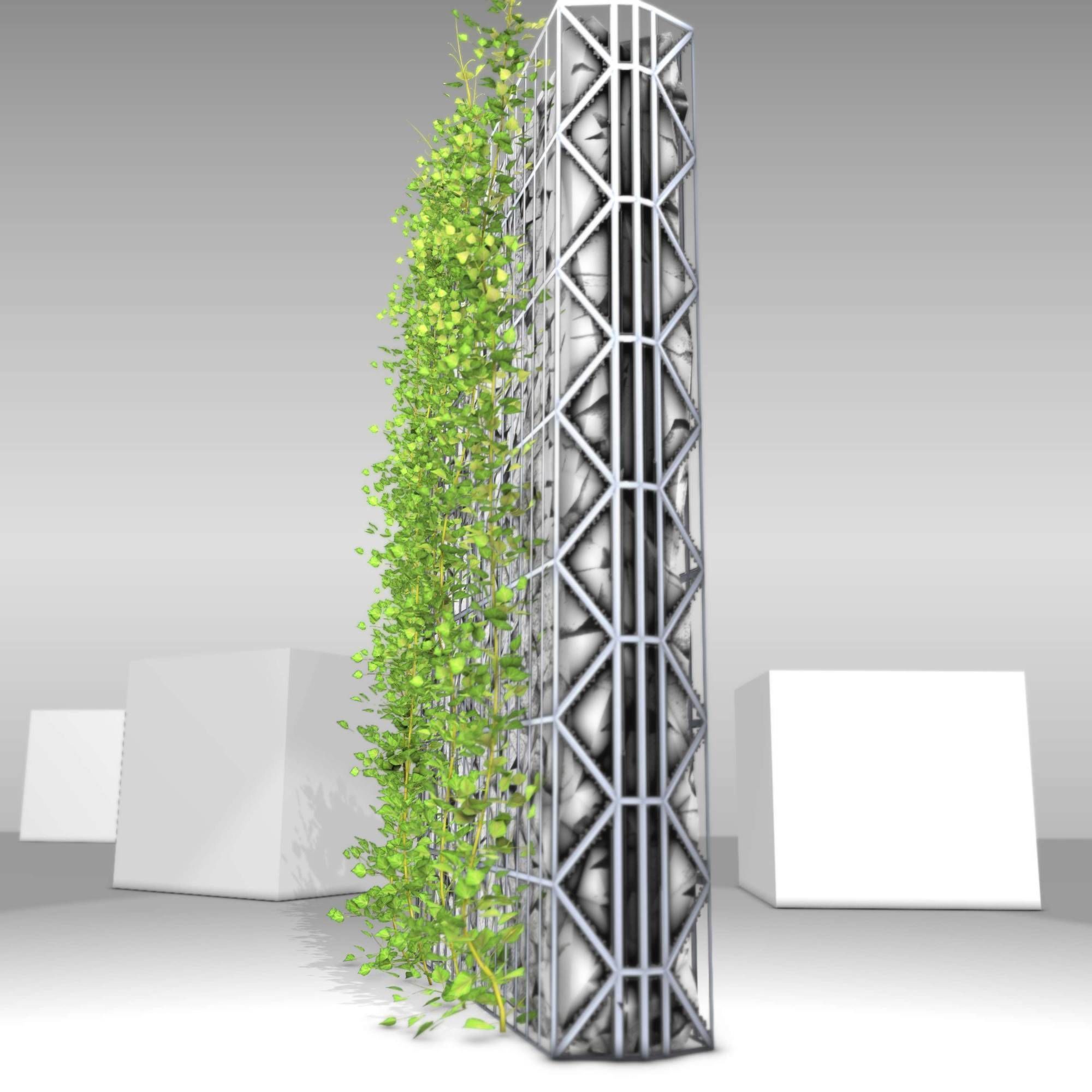 Ivy Vine on Gabion Wall - Version 1 Low-poly 3D model_27