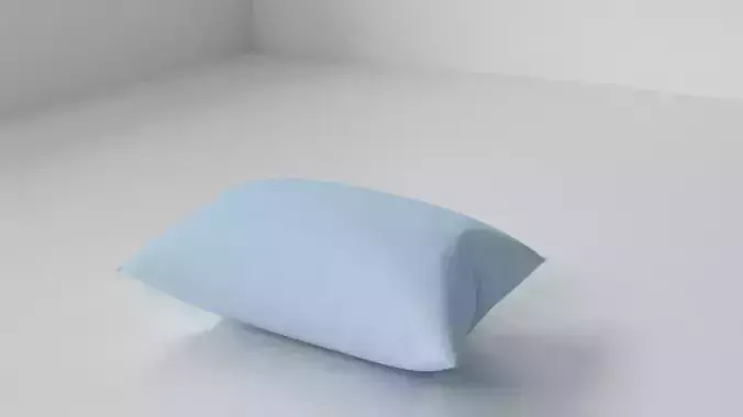 Cotton Pillow