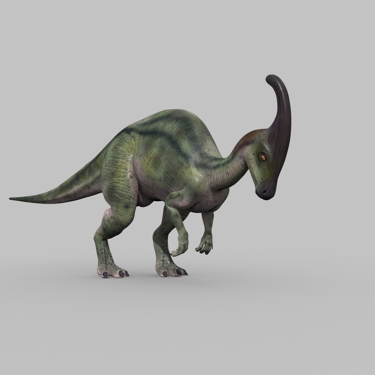 Parasaurolophus 8192 HD - 3d animated model Low-poly 3D model_16
