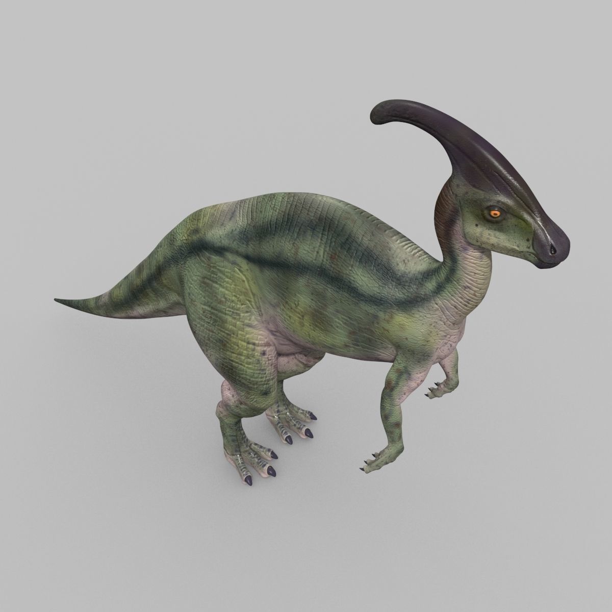 Parasaurolophus 8192 HD - 3d animated model Low-poly 3D model_22