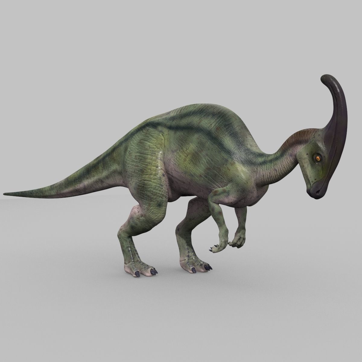 Parasaurolophus 8192 HD - 3d animated model Low-poly 3D model_5