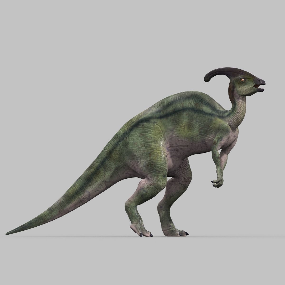 Parasaurolophus 8192 HD - 3d animated model Low-poly 3D model_18